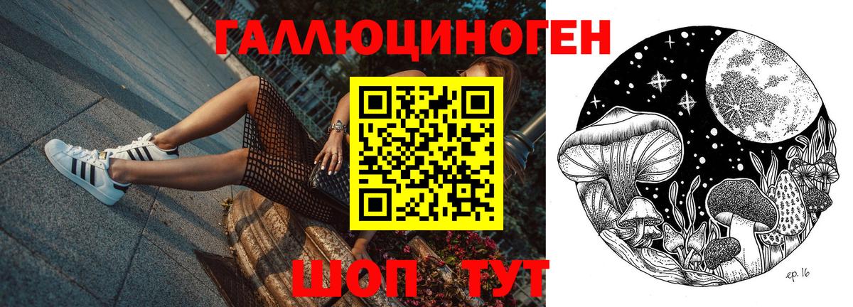Галлюциногенные грибы Psilocybine cubensis Удомля