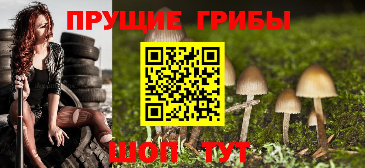 что такое наркотик  Вход с VPN  Удомля  Галлюциногенные грибы Cubensis 